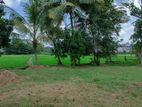 Land for sale in Hokandara Talawatugoda