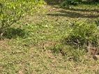 Land for Sale in Homagama – 6.5 Perches