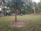 Land for Sale in Homagama Berukatiya Junction