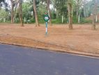 Land for sale in Homagama Beruketiya