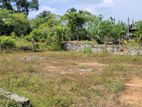 Land for Sale in Homagama Diyagama