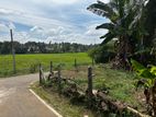 Land For Sale In Homagama ( Facing Paddy Field )