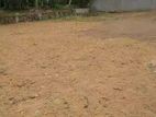 Land For Sale in Homagama