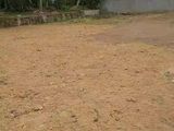 Land For Sale in Homagama