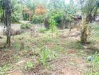 Land For Sale In Homagama