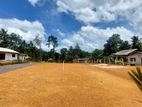 Land for Sale in Homagama