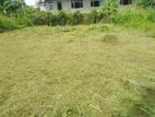 Land for Sale in Homagama