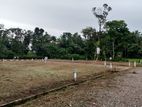 Land for Sale in Homagama