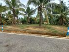 Land for Sale in Homagama