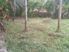 Land for Sale in Homagama