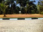 Land for Sale in Homagama