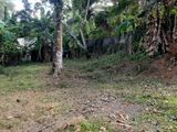 Land for Sale in Homagama