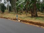 Land for Sale in Homagama