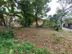 Land for Sale in Homagama