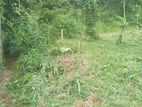 Land for Sale in Homagama