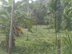 Land for Sale in Homagama