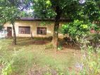 Land for sale in Homagama