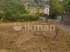 Land for Sale in Homagama