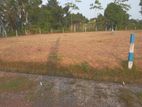 Land for Sale in Homagama