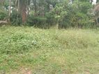 Land for Sale in Homagama