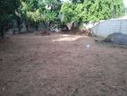 LAND FOR SALE IN HOMAGAMA