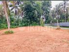 Land for Sale in Homagama