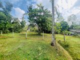 Land for Sale in Homagama