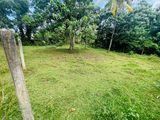 Land for Sale in Homagama