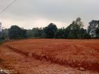 Land for Sale in Homagama