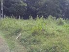 Land for Sale in Homagama