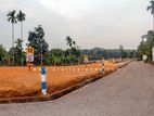 Land for Sale in Homagama