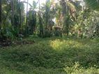 Land For Sale In Homagama