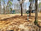 Land for Sale in Homagama