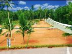 Land for Sale in Homagama