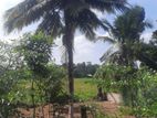 Land For Sale In Homagama