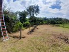 Land for Sale in Homagama