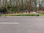 Land for Sale in Homagama