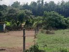 Land for sale in Homagama