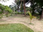 Land For Sale in Homagama