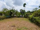 Land for sale in Homagama