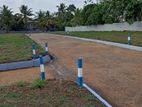 Land for Sale in Homagama