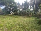 Land for Sale in Homagama