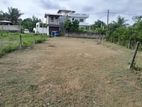 Land for sale in Homagama