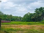 Land for Sale in Homagama