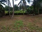 Land For Sale in Homagama