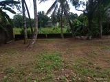 Land For Sale in Homagama