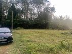 Land for Sale in Homagama