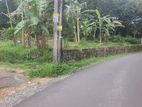 Land for Sale in Homagama