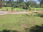Land for Sale in Homagama