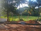 Land for Sale in Homagama
